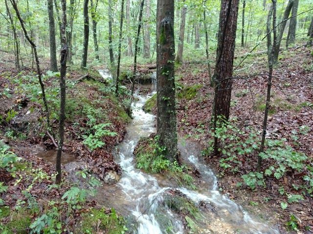 Enterprise South Nature Park